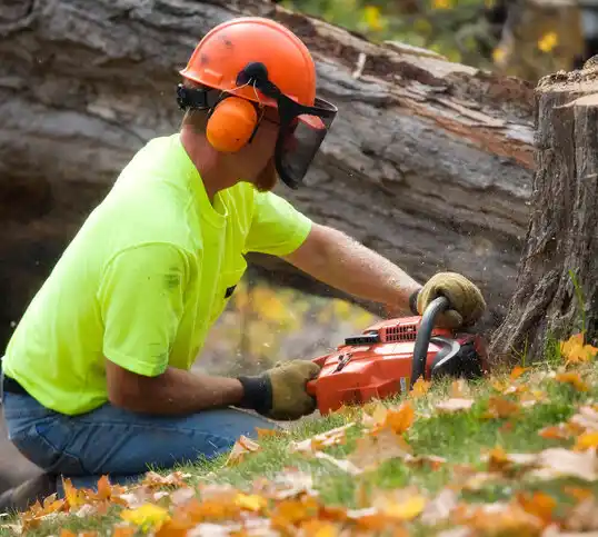 tree services Duncan Falls